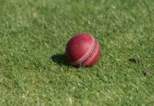 Update on COVID-19 and the Irish cricket season