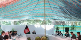 Afghanistan Cricket Board receives government approval to resume domestic cricket