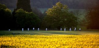 ECB: UK Government gives green light for recreational cricket to return