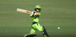 Sydney Thunder: Haynes selected for New Zealand series