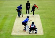 Cricket Ireland: Buoyed Irish cricket fans turn towards Test Triangle Inter-Provincial Series