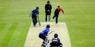 Cricket Ireland: Buoyed Irish cricket fans turn towards Test Triangle Inter-Provincial Series