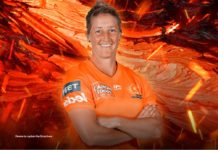 Perth Scorchers to be led by Devine intervention