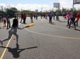 Cricket Ireland’s new Grassroots Cricket Committee to drive development of game at community level