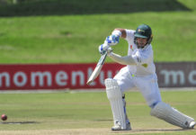 Eastern Cape Warriors name Vallie captain for 4-Day Domestic Series