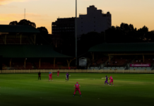 Sydney Sixers duo to miss Weber WBBL|08