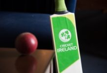 Cricket Ireland halts elite training after positive COVID-19 resul