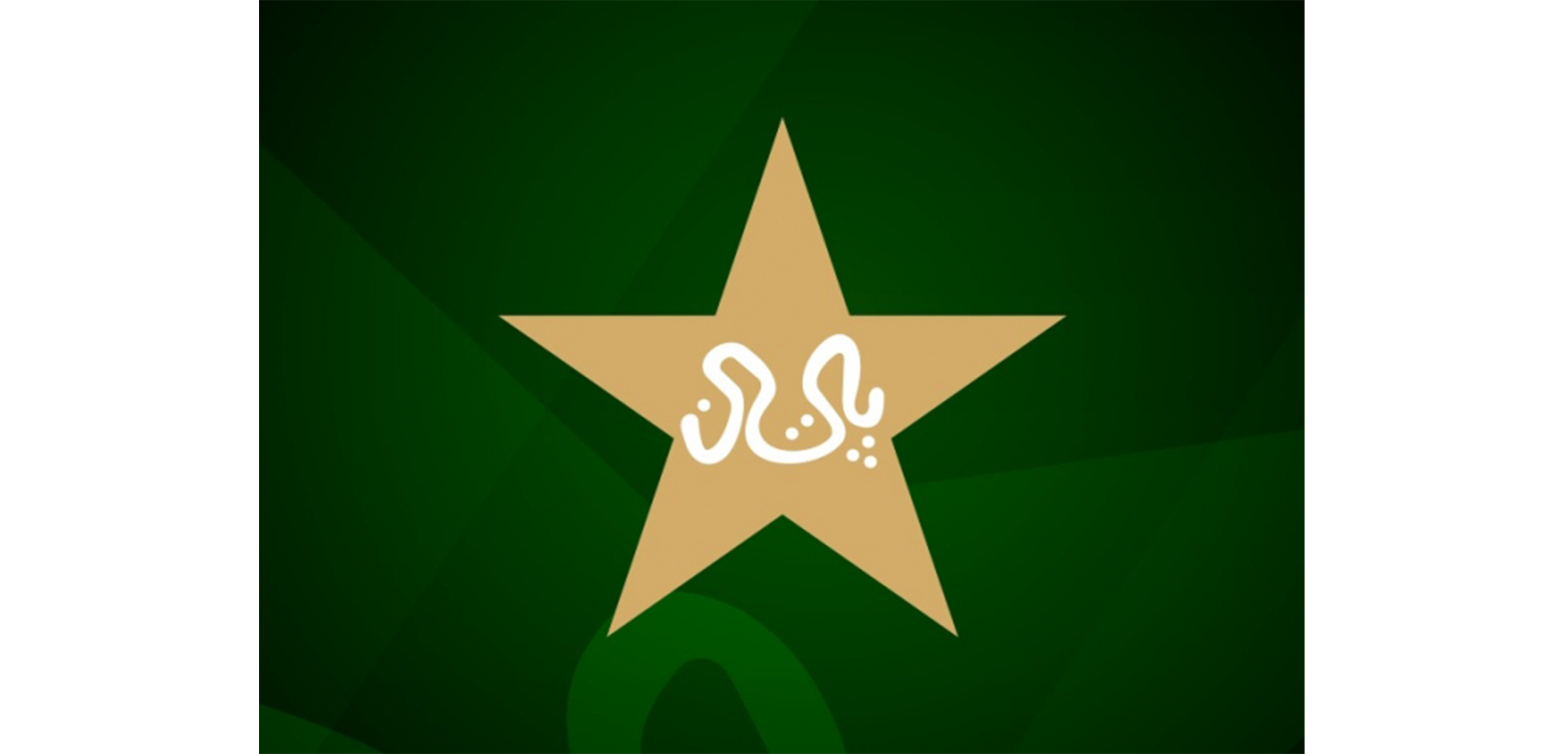 Pakistan Cricket Logo Vector Pakistan Cricket Stock Vector (Royalty Free)  1922043074 | Shutterstock