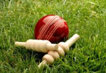 Cricket NSW: First ball of the NSW cricket season set for Saturday