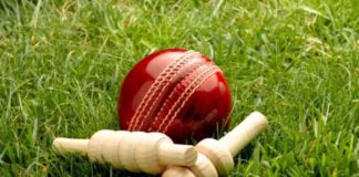 Cricket NSW: First ball of the NSW cricket season set for Saturday