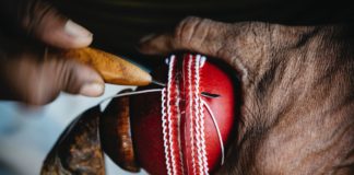 Cricket Australia: Steve Waugh announces Sydney Photography Exhibition ahead of summer of cricket