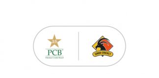 PCB and Sindh Government to organise Sindh Schools Cricket League in February