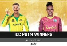 Warner and Matthews named ICC Players of the Month