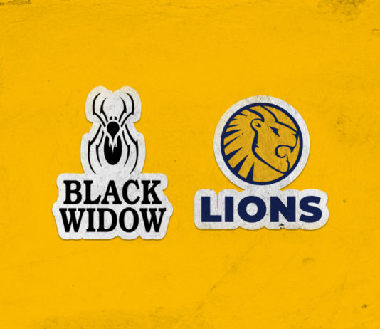 Lions Cricket: Imperial Wanderers Stadium opens for the Black Widow T20 Club finals