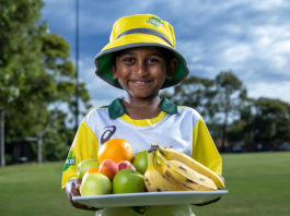 SACA: South Australian cricket clubs to pick fresh, play fresh