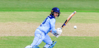 Cricket NSW: Breakers contract list: Horley ready for second stint