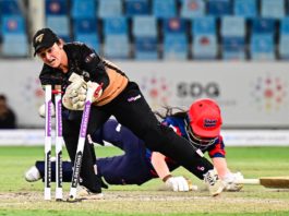 NZC: Martin calls time on cricket career