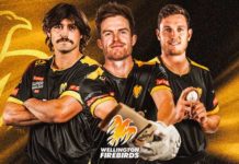 Cricket Wellington: Milne, Kelly join Wellington Firebirds | Robinson earns first contract