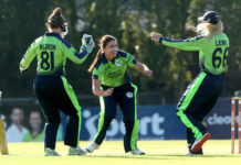 Cricket Ireland: Arlene Kelly offered full-time central contract