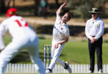 SACA: West End Redbacks Injury Update