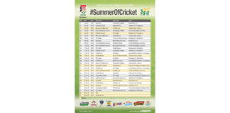 CSA One Day Cup to amplify the Summer of Cricket