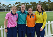 Cricket NSW: Premier Plus to strengthen women’s game