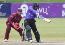 Dolphins Cricket: Dolphins stars ready to light up SA20