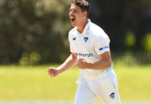 Cricket NSW: Blues go back to the future