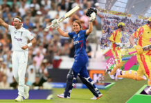 ECB: Summer of cricket captivates the nation