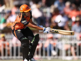 Perth Scorchers secure experienced quick Piepa Cleary