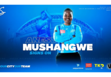 Adelaide Strikers: Mushangwe spinning into WBBL|09