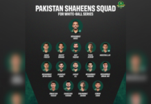 PCB: Haris to captain Pakistan Shaheens' white-ball side in Darwin