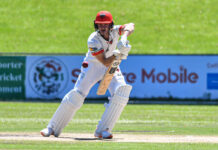 Dolphins Cricket: Eager Viljoen keen to impress with Dolphins