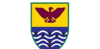 ND Cricket Logo