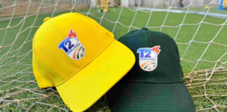 CSA: Domestic T20 Challenge Capped For Excellence