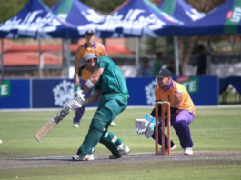 Cricket Namibia: Castle Lite as naming sponsor of the Senior Men’s T20 Franchise Tournament