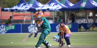 Cricket Namibia: Castle Lite as naming sponsor of the Senior Men’s T20 Franchise Tournament