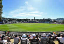 New Zealand Cricket: Black Caps and White Ferns successes drive summer ticket sales spike