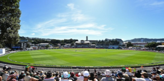 New Zealand Cricket: Black Caps and White Ferns successes drive summer ticket sales spike