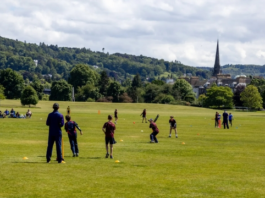 Cricket Scotland Action Plan