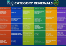 Local players categories of HBL PSL